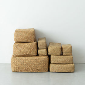 HuuHuu 水草ボックス