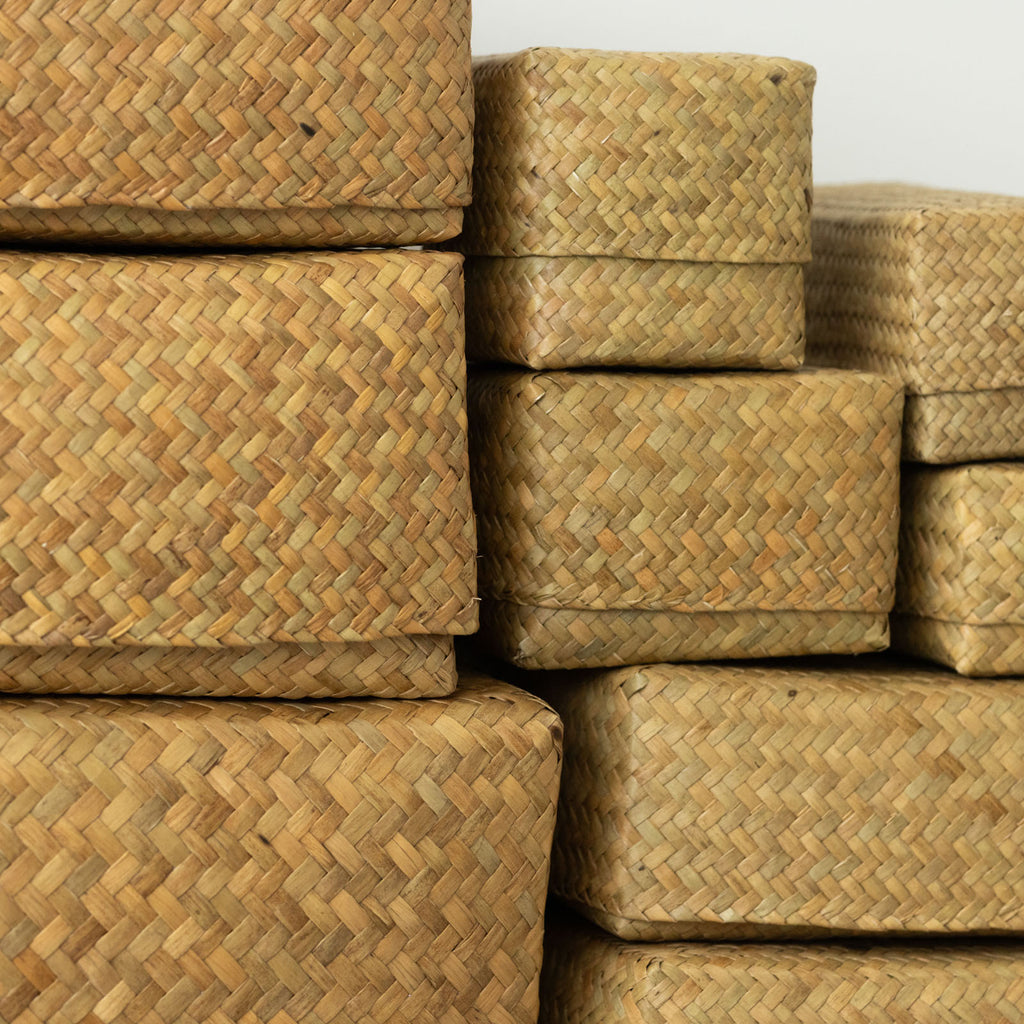 HuuHuu 水草ボックス