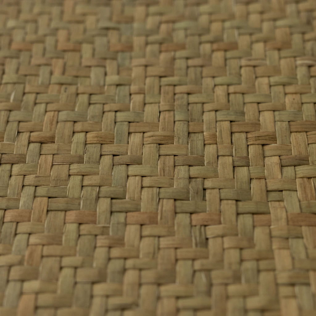 HuuHuu 水草ボックス