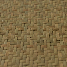 HuuHuu 水草ボックス