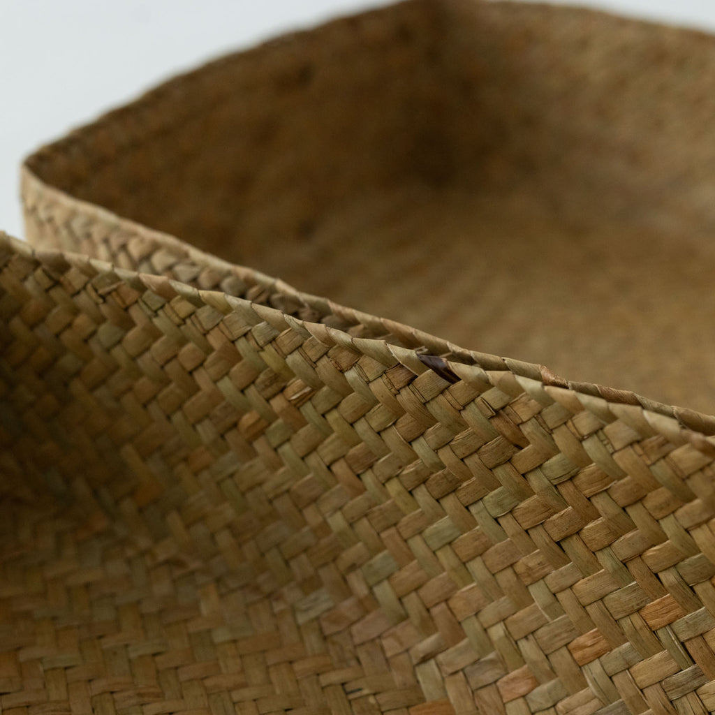 HuuHuu 水草ボックス