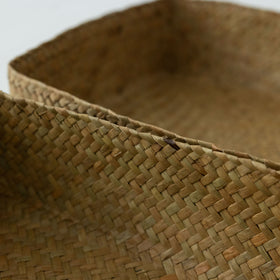 HuuHuu 水草ボックス