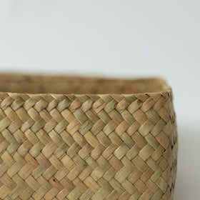 HuuHuu 水草ボックス