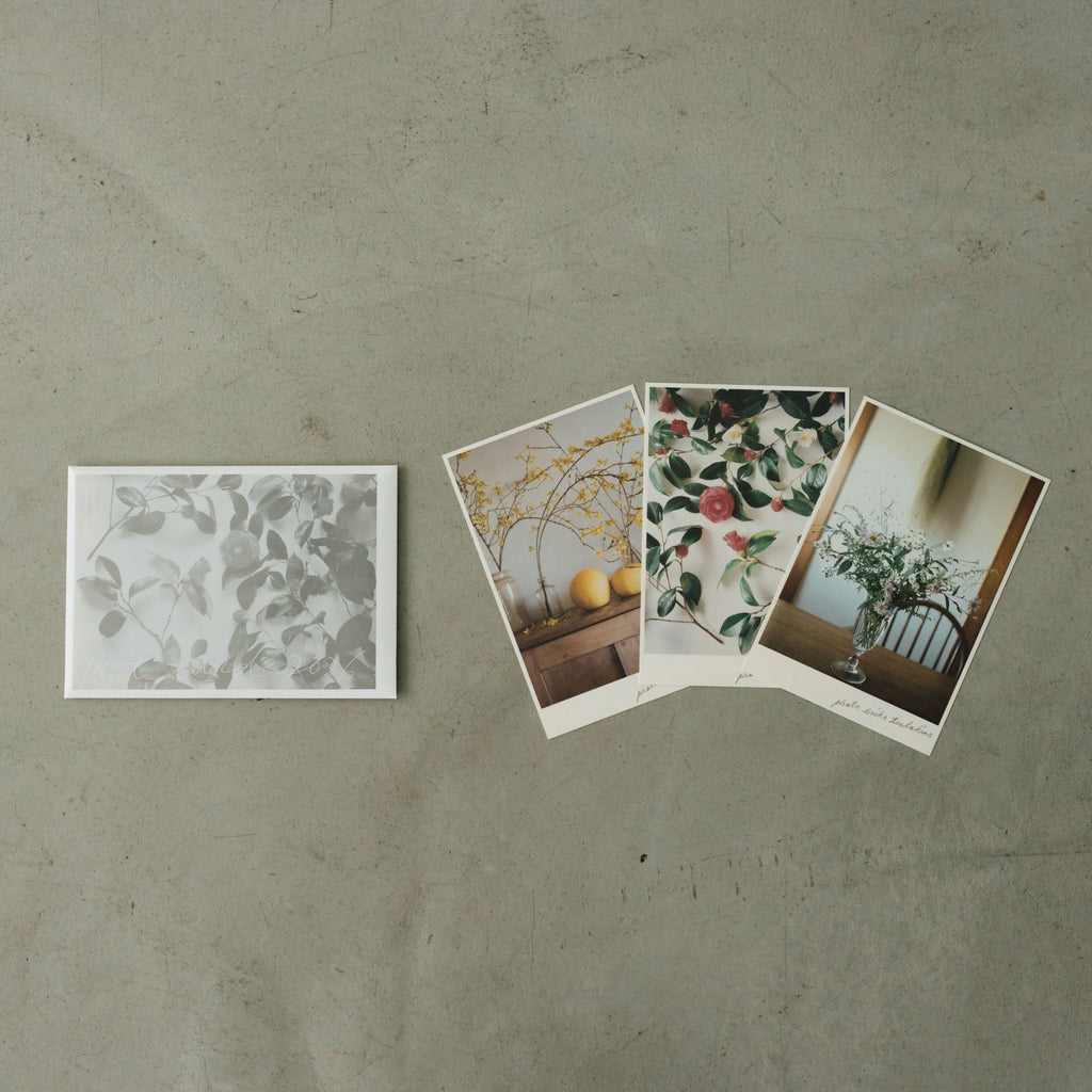 椿野恵里子 2026年ポストカードセット