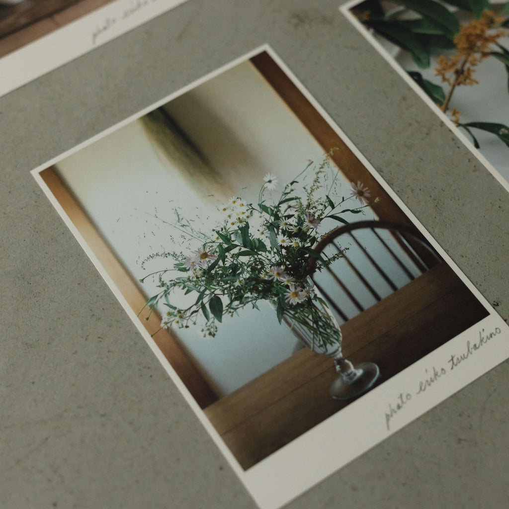 椿野恵里子 2026年ポストカードセット