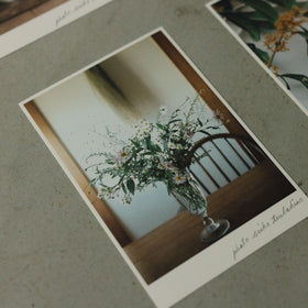 椿野恵里子 2026年ポストカードセット