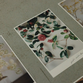 椿野恵里子 2026年ポストカードセット