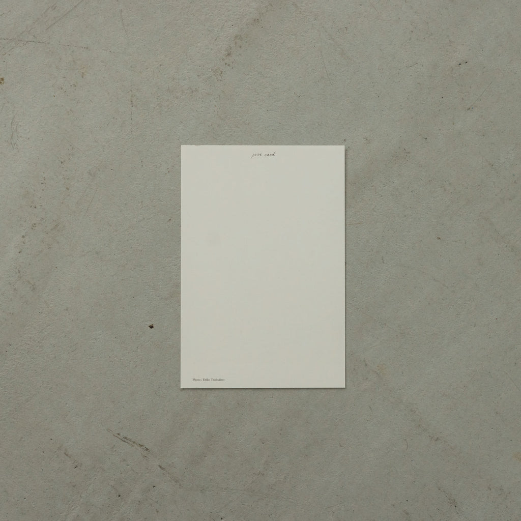 椿野恵里子 2026年ポストカードセット