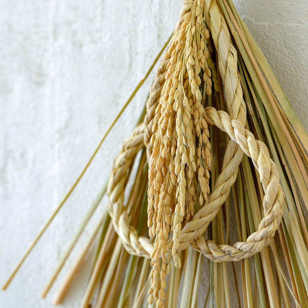 しめ飾り 末広出芽繁栄