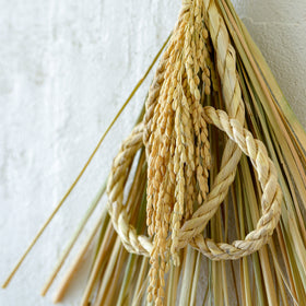 しめ飾り 末広出芽繁栄