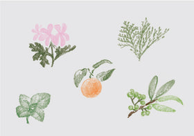 Nature is me ブレンドオイル