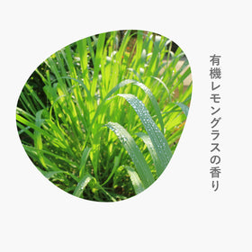 sonett ナチュラルウォッシュアップリキッド(食器用洗剤)