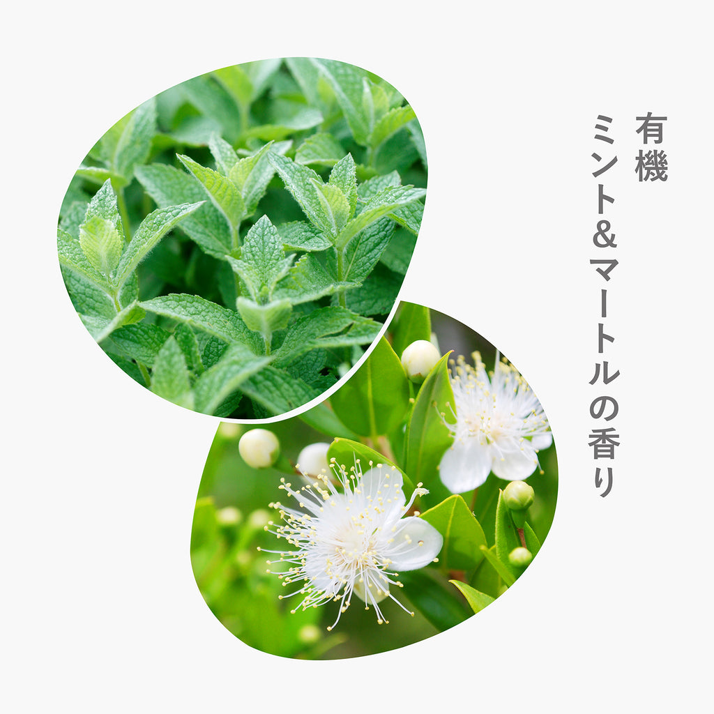 sonett ナチュラルトイレットクリーナー