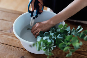 ホーローの洗面器