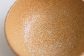 Homeland 信楽 取り分け鉢 中