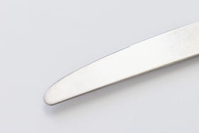 vintage stainless cutlery