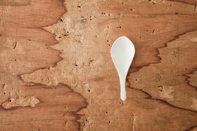 安齋新・厚子 白磁刻紋蓮華