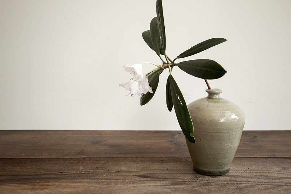 安齋新・厚子 灰釉壼