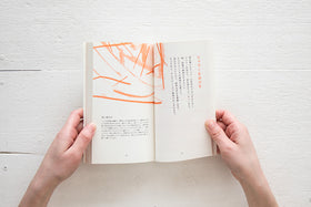 じっせん こころのヨーガ/赤根彰子