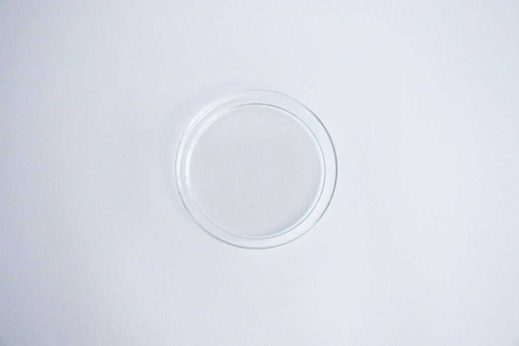 Trendglas JENA プレート