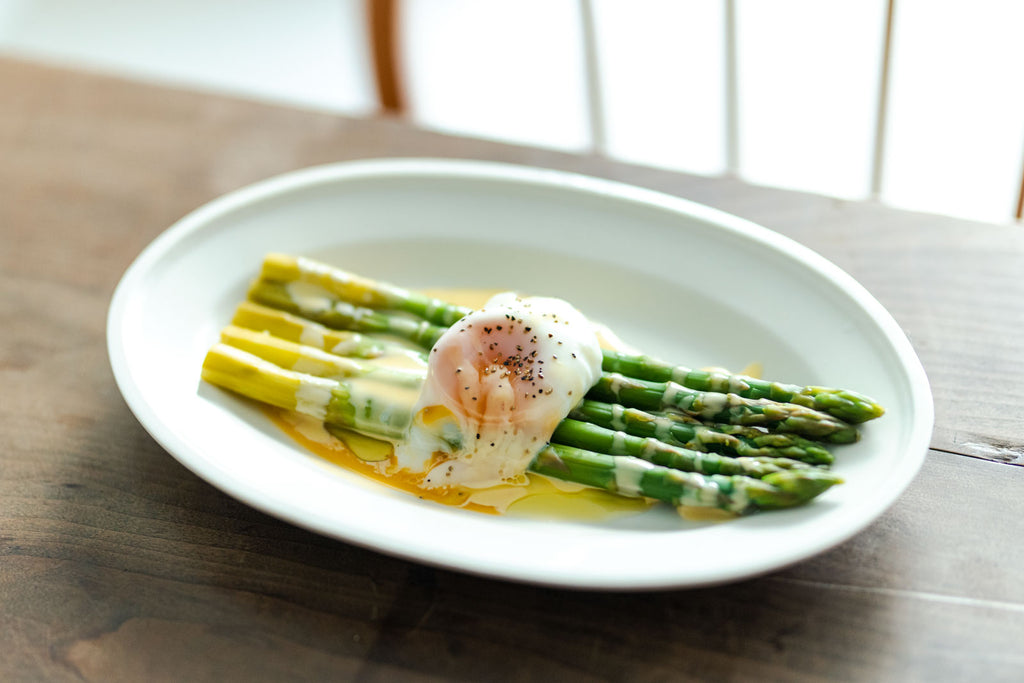 1+0 オーバルプレート