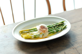 1+0 オーバルプレート