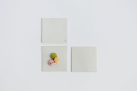 Satoko Sai + Tomoko Kurahara Nerikiri プレート S