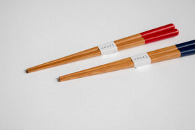 ヤマチク 子どもがんこ箸(食洗機対応)