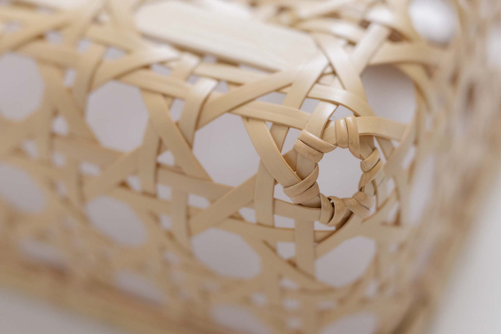 大鍛治来未 パンカゴ