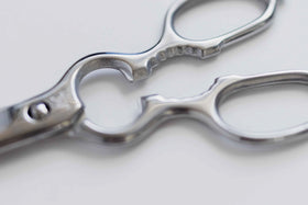 栗忠製作所 オールステンキッチンハサミ