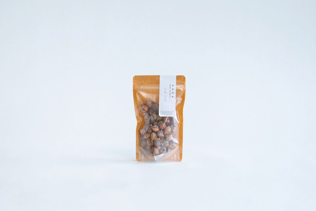 REAL PLANTS 月桃実茶 *