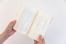 万病を治す冷えとり健康法/進藤義晴