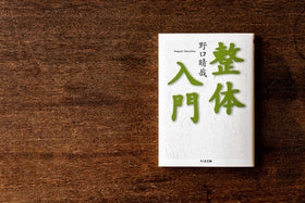 整体入門/野口晴哉