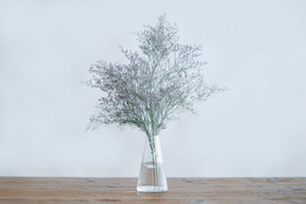 リューズガラス フラワーベース クーレライン アルプ