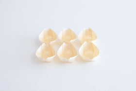 たくまたまえ お弁当用 小舟セット