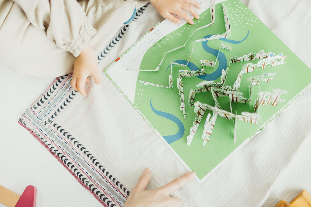 ナマケモノのいる森で/アヌック・ボワロベール+ルイ・リゴー