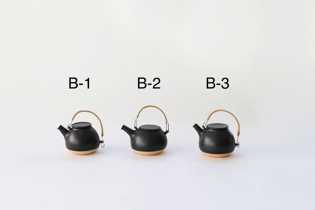 CANASA 土瓶 黒 蓋つまみなし