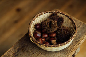 ヌビアバスケットS