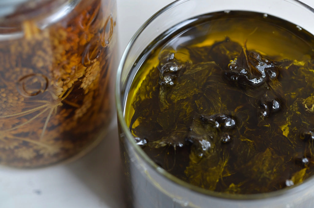 REAL PLANTS フィラファオイル(ロールオン)