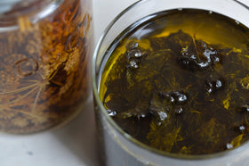 REAL PLANTS フィラファオイル(ロールオン)