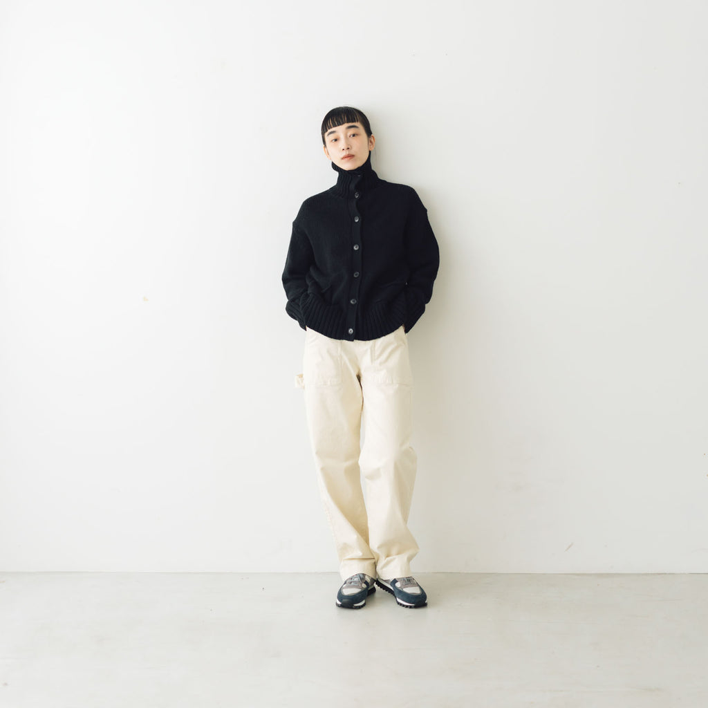 HAU パンツ ペインター "autumn"