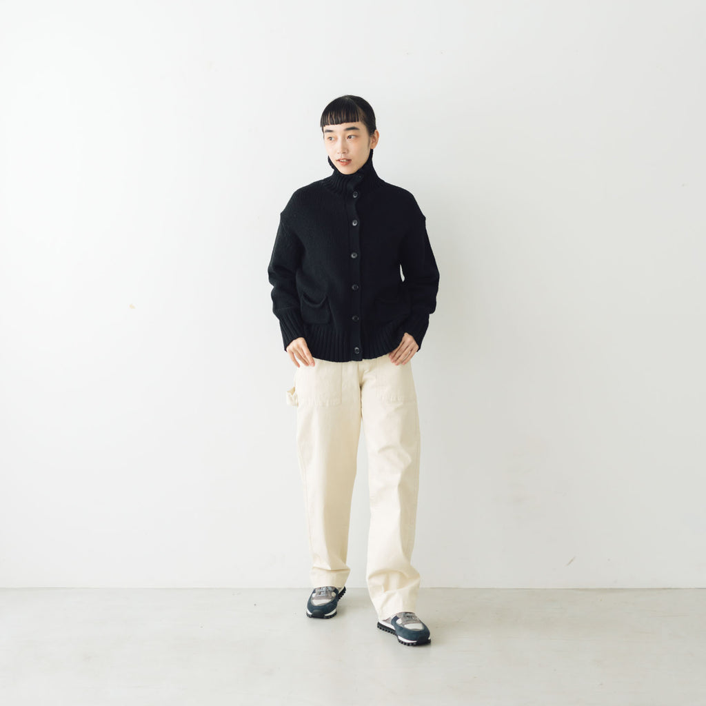 HAU パンツ ペインター "autumn"