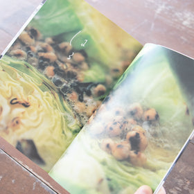 あたらしい日常、料理／藤原奈緒