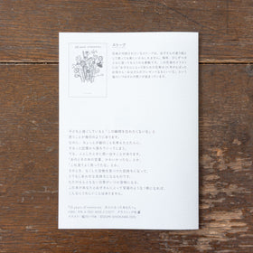 20 years of memories 大人になったあなたへ／塩川いづみ