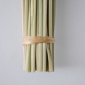 榊麻美植物研究所 輪飾り石付き（細）［期間限定販売］【受注会／2025年12月中旬ごろ発送予定】