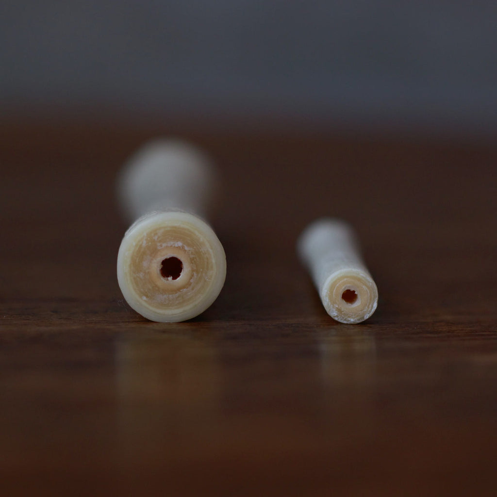 底の切り口（左／5号、右／ミニ）