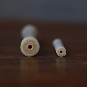 底の切り口（左／5号、右／ミニ）