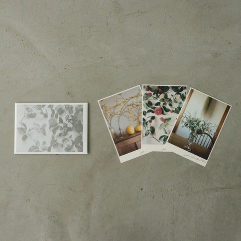 椿野恵里子 2026年ポストカードセット