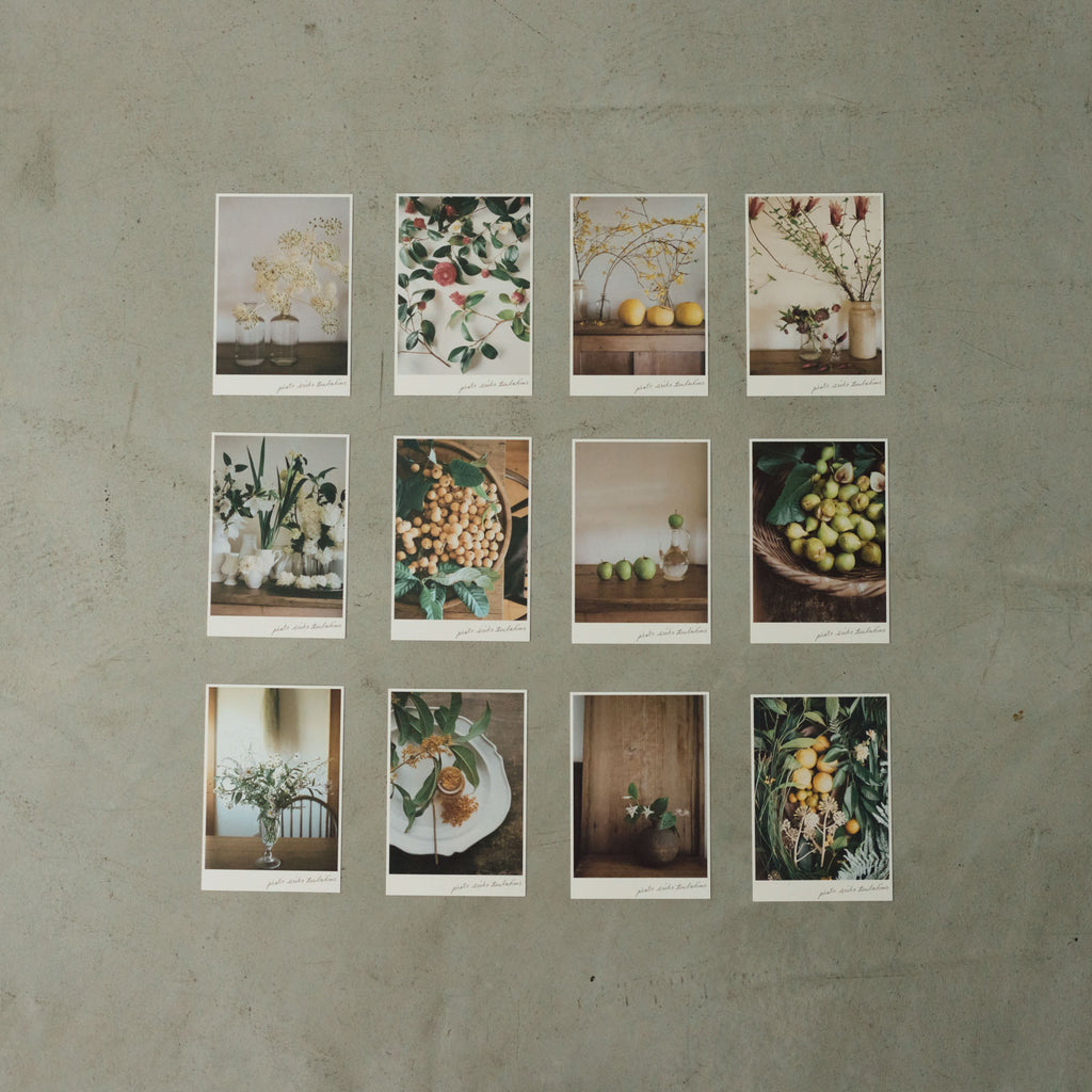 椿野恵里子 2026年ポストカードセット