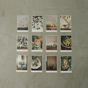 椿野恵里子 2026年ポストカードセット